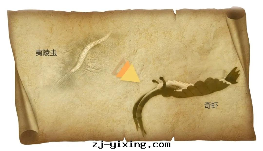 1582767338275633.jpg 21.jpg